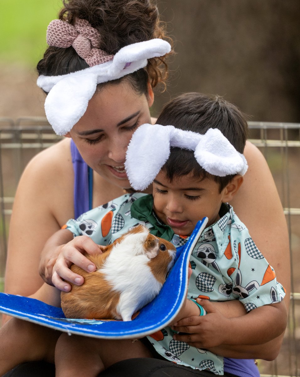 What a hoppy time we had at our annual #Easter #EggRoll! From egg hunts &amp; races to face painting, furry friends at the petting zoo, ice cream treats, &amp; a visit from the #EasterBunny himself—it was a morning full of family fun! 🐰

A BIG thank you to everyone who came out! 💛