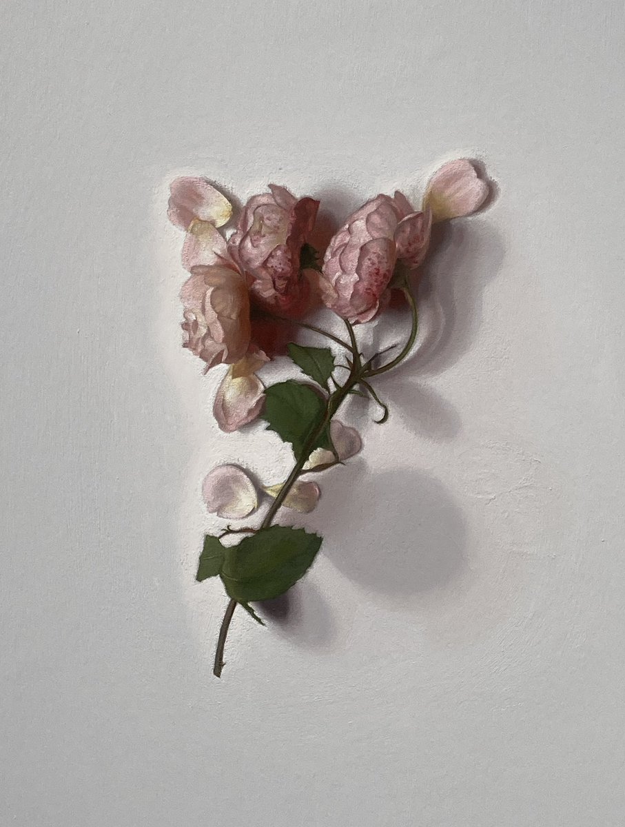 Julia (@chiaroscuro1897) on Twitter photo ‘Is my heart a rose?/How unspeakable’ (Alice Oswald)… roses, memento mori & eerie beauty today with a trip to see <a href="/alisonjfwatt/">Alison Watt</a>’s ‘From Light’ <a href="/Pitzhanger/">Pitzhanger Manor & Gallery</a>
🎨Alison Watt ‘Is my heart a rose?/How unspeakable’ (Alice Oswald)… roses, memento mori & eerie beauty today with a trip to see <a href="/alisonjfwatt/">Alison Watt</a>’s ‘From Light’ <a href="/Pitzhanger/">Pitzhanger Manor & Gallery</a>
🎨Alison Watt