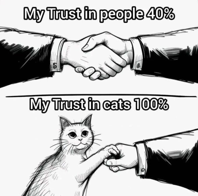PunchingCat's tweet photo. https://t.co/O9VBvQjoWy