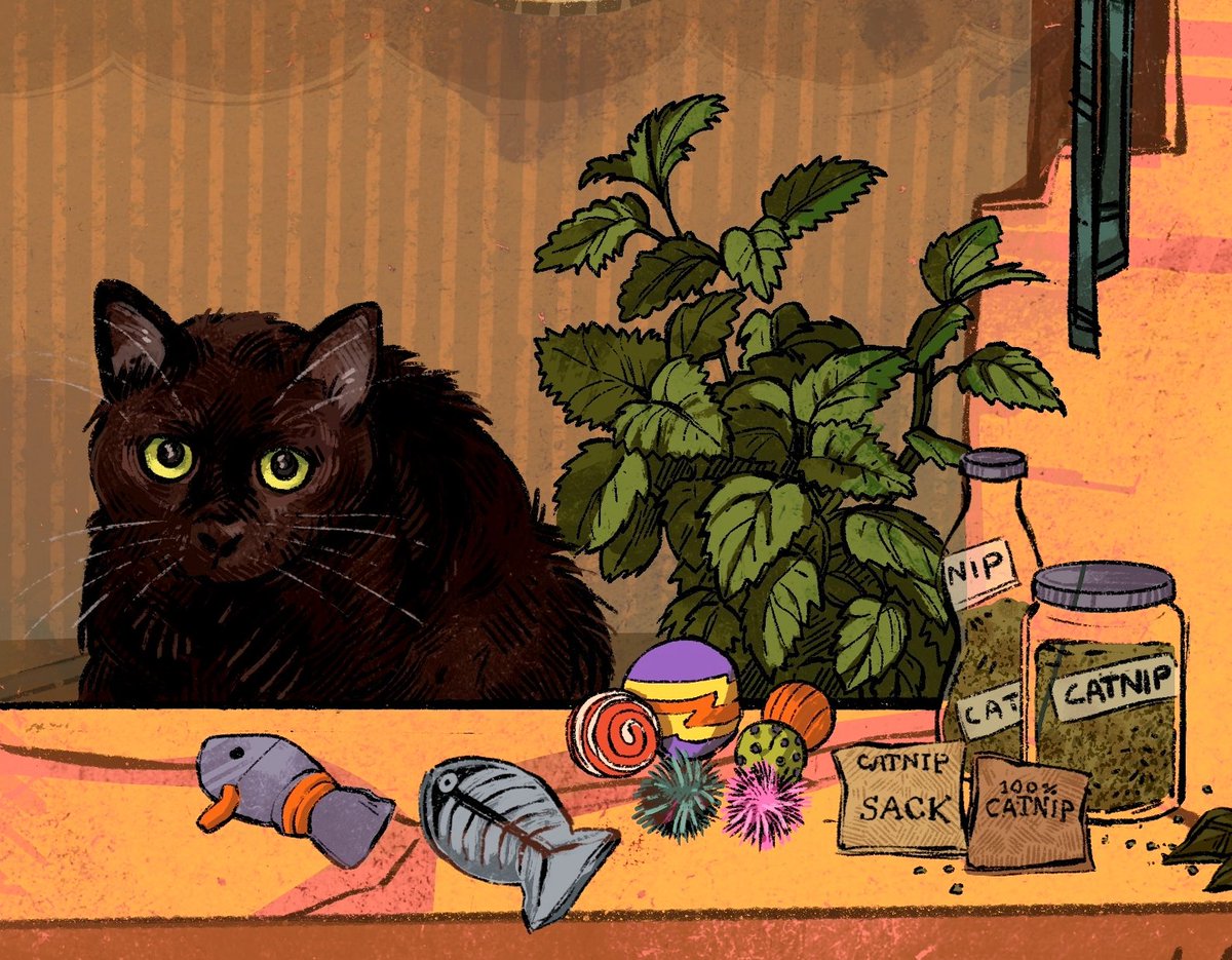 catwheezie's tweet photo. ...and if 4/20 is more your style, I hope you get cat nipped out of your mind today https://t.co/9hMGOMCWFb