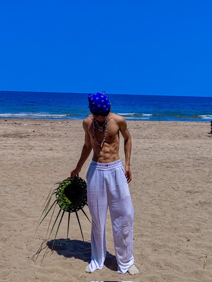 an_ming1's tweet photo. Summer vibe 🐬🥥 https://t.co/xBoX9qR8x7