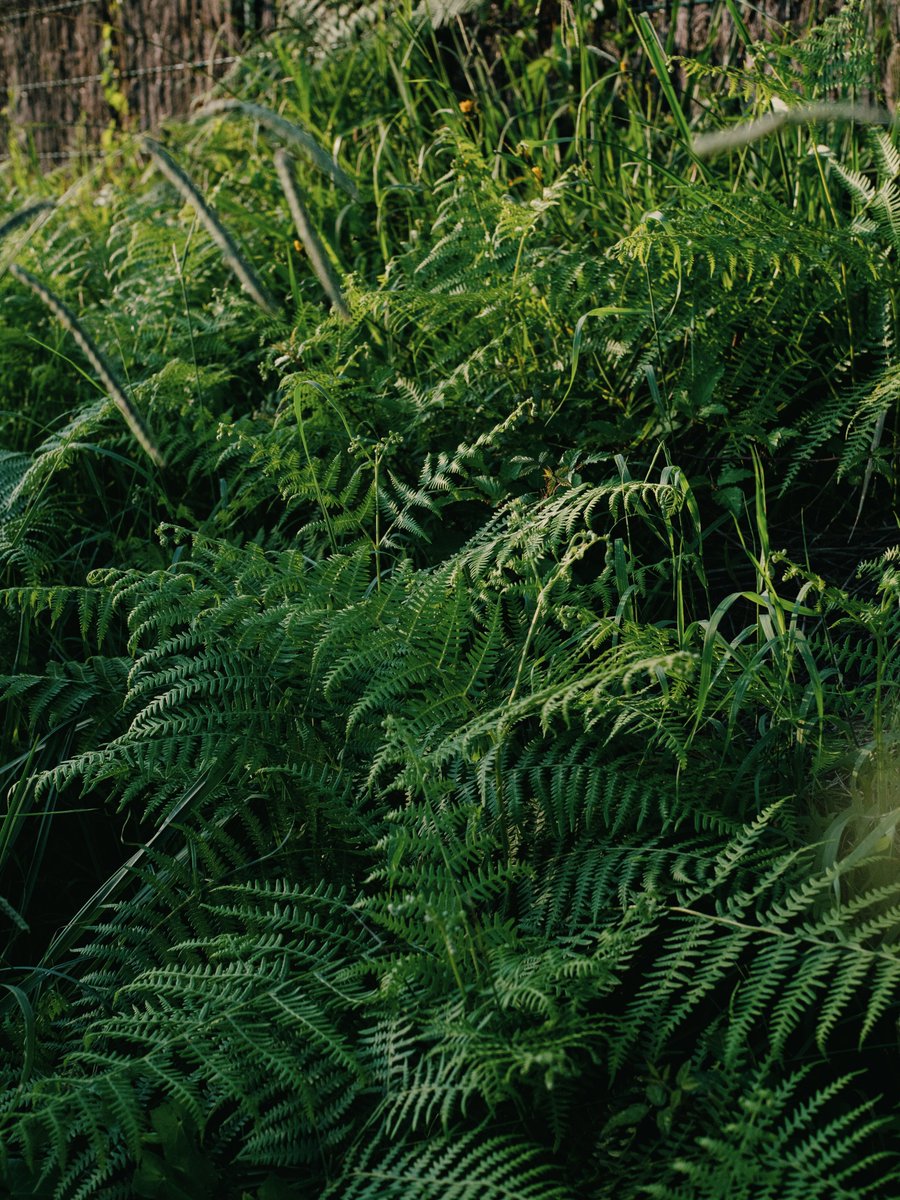 PhMuseum tweet media