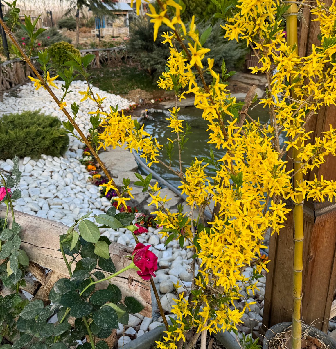 gomnamza's tweet photo. فروردین غزلشو خوند و رفت! 🌿 یه ماه پر از تازگی و شروعای باحال تموم شد. حالا آماده‌این با یه عالمه انگیزه بپری تو اردیبهشت؟ 
#فروردین 
#بهار_هنوز_هست https://t.co/2iVZQxpGjt