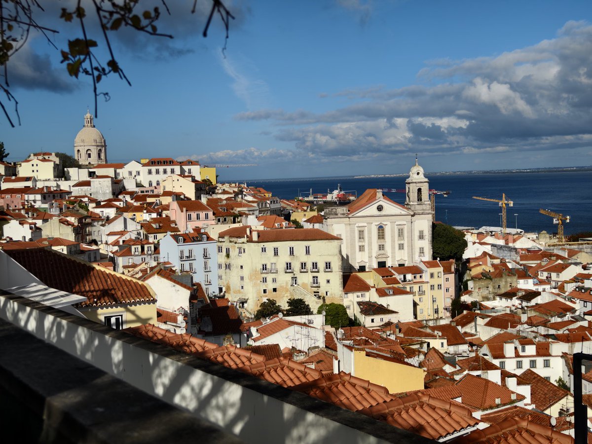 陈一发儿 tweet media