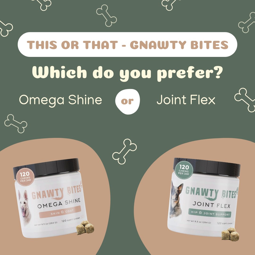 Shiny coat or strong joints? 🐶✨ Which Gnawty Bites does your pup need? 🐾🦴❤️

#doghealth #gnawtypets #jointflex #boostmotion #painreducer #jointsupport #support #healing #madeintheusa #mobility #dogsupplements #dogtreats #relief #omegashine #omega #omega369 #salmonoil