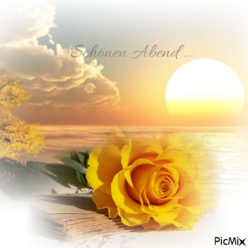 Einen wundervollen erholsamen Abend wünsche ich euch 💫 🫶 💫 und für später eine gute Nacht