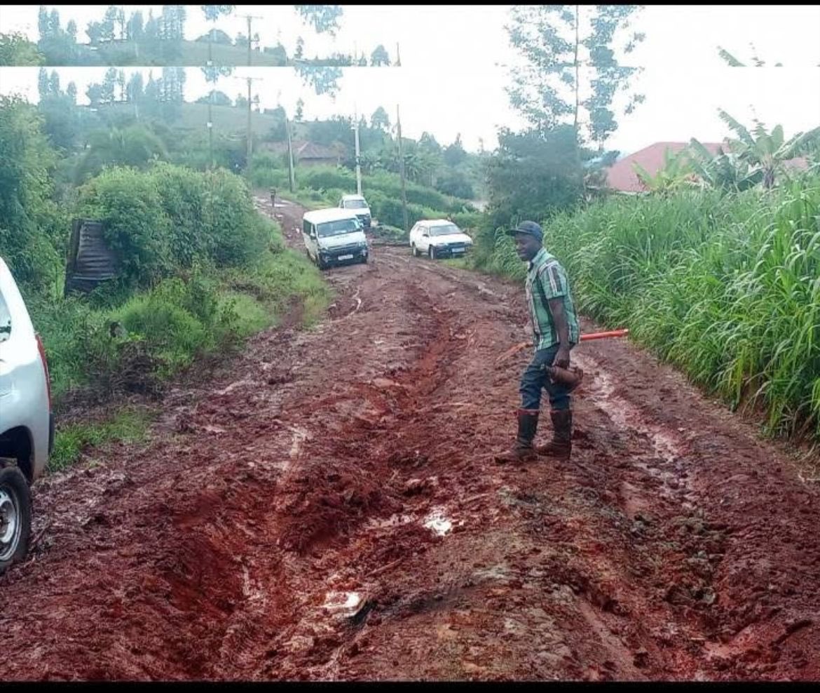 Every time you hear the an MP by the name Kururia just know this is the state of roads in his constituency.