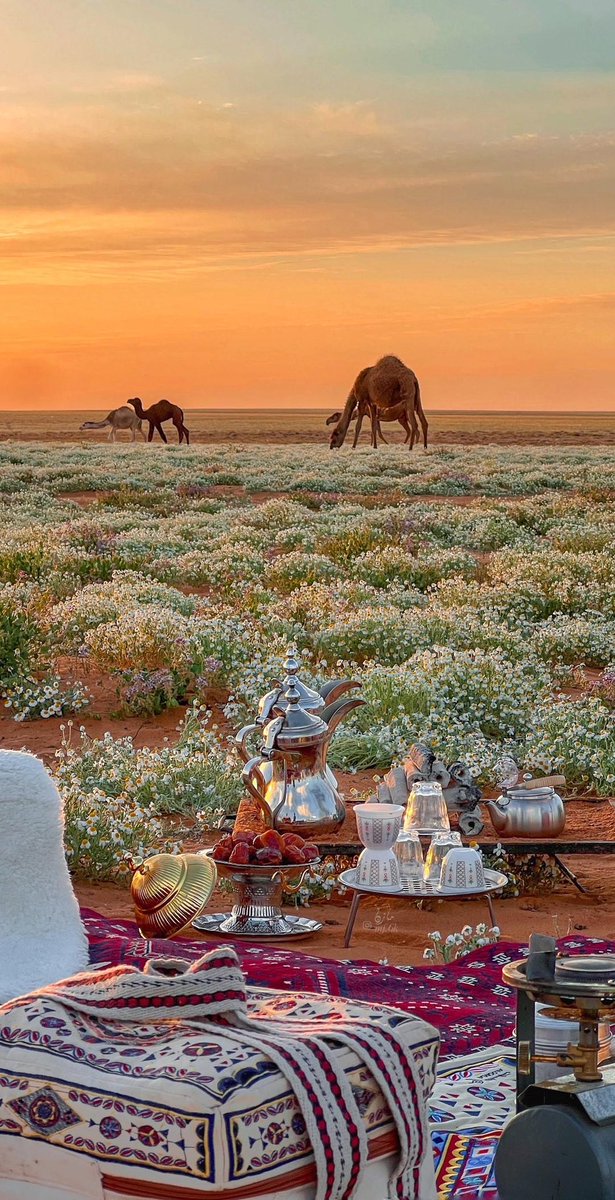 ريـمـان tweet media