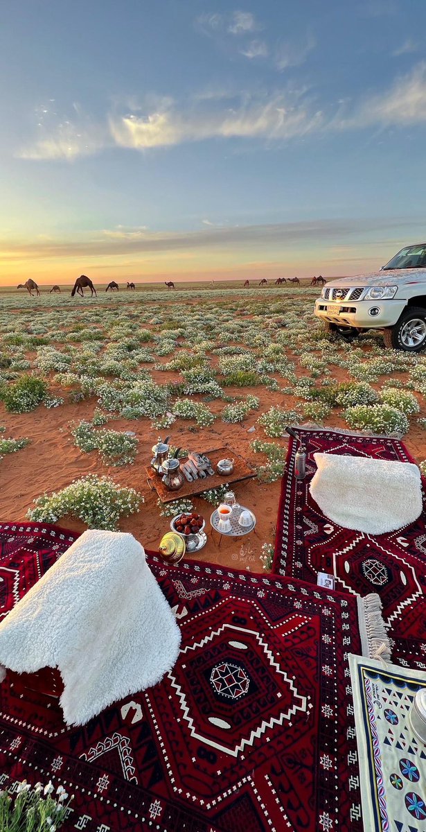 ريـمـان tweet media