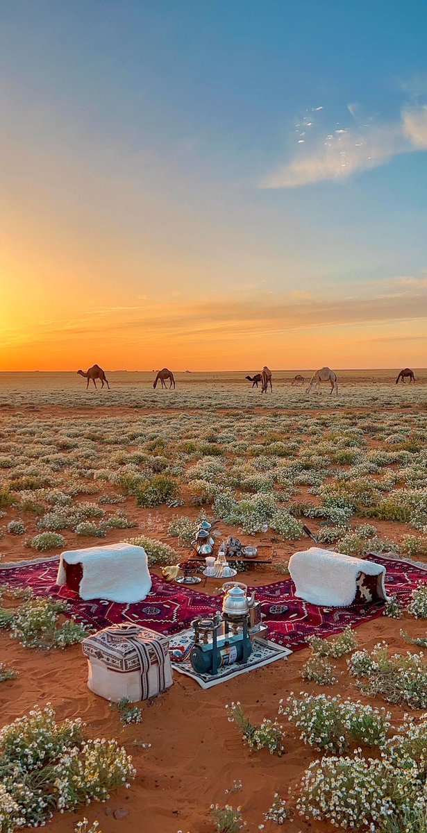 ريـمـان tweet media