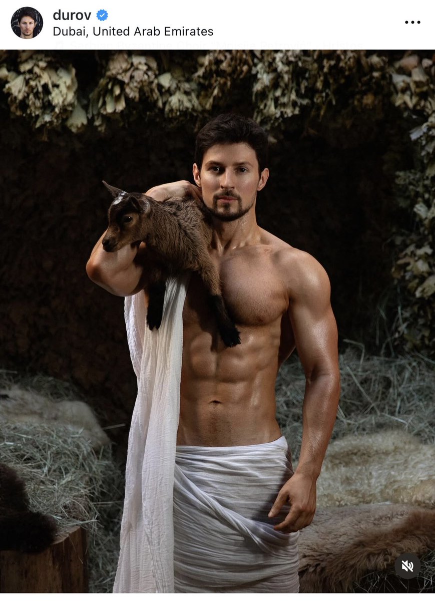 крошка цейтнот tweet media