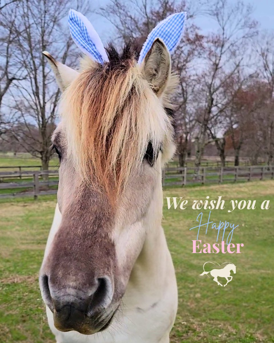 Maryland Therapeutic Riding tweet media