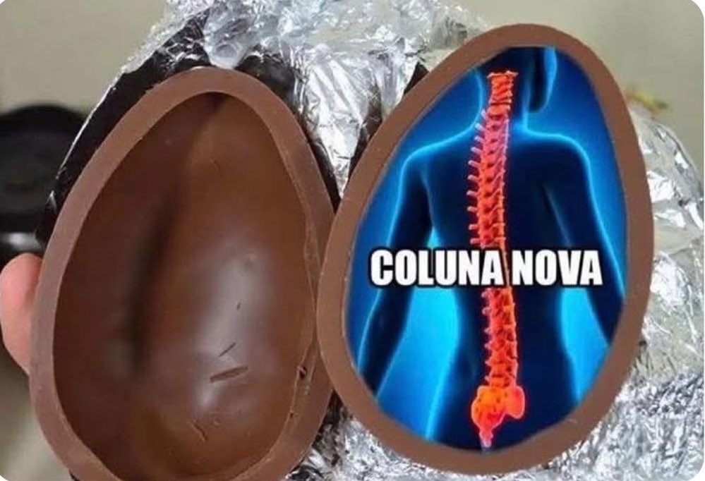 O ovo que eu precisava