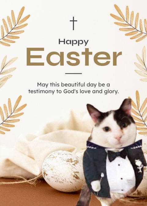 Hello everypawdy ☺️ happy Easter 🐣🐇 Sunday too all the furs and hoos have a wonderful day enjoy ☺️ ❤️🩷🧡🩷❤️🩷🧡🩷❤️🩷🧡🩷❤️🐾🐾