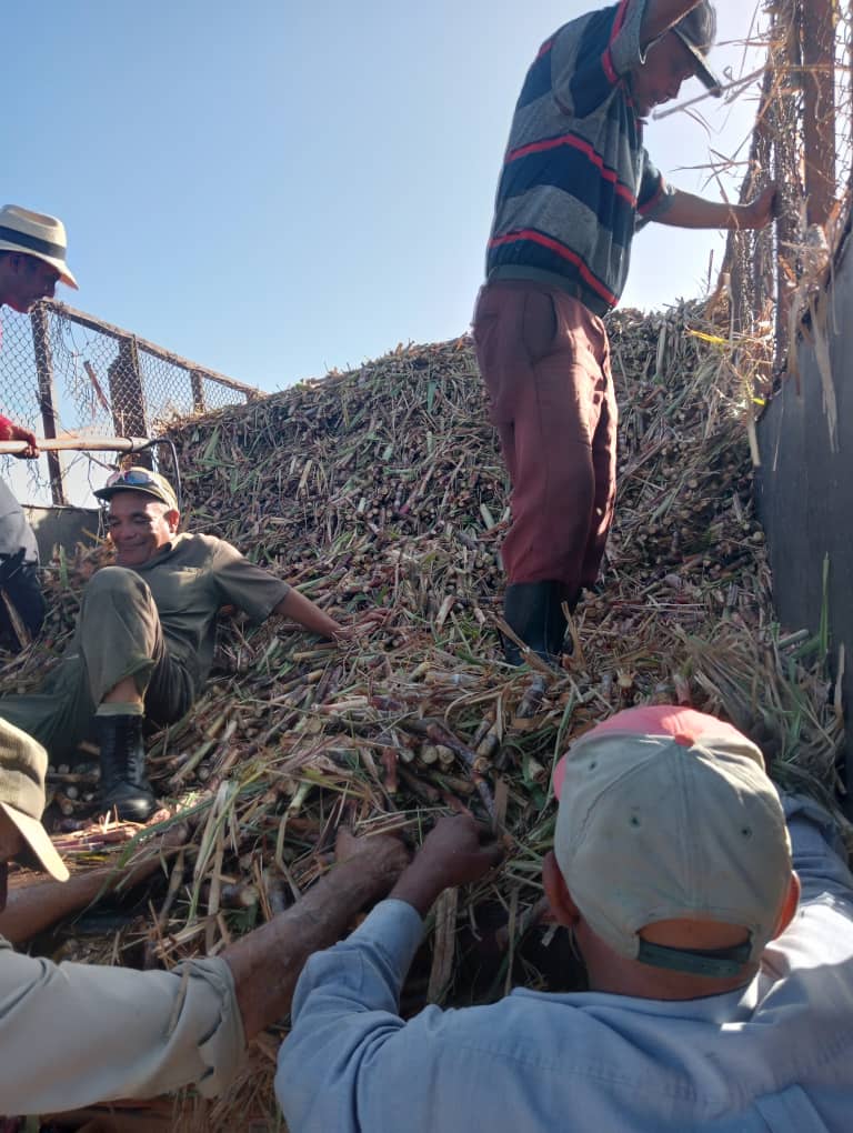 Participan trabajadores de UEB acueducto Santo Domingo-Ranchuelo en trabajo voluntario siembra de caña hoy domingo.
#EAAVC