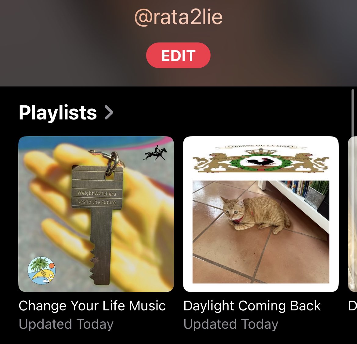 If u have Apple Music and are tired of looking for new music I make a playlist every 2 months based on the season