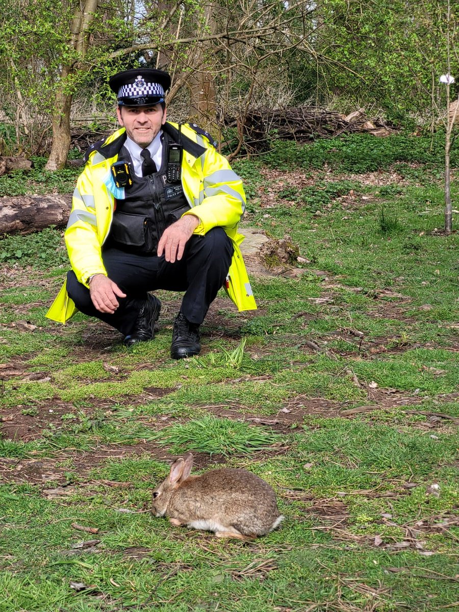HAMPTON POLICE (@mpshampton) on Twitter photo Good afternoon <a href="/MPSHampton/">HAMPTON POLICE</a> <a href="/MPSHamptonNorth/">Hampton North Police - Metropolitan Police London</a> #HappyEaster2025
#wecanbeeverywherebutwecanbeanywhere ๐ฎ๐๐ฎโโ๏ธ Good afternoon <a href="/MPSHampton/">HAMPTON POLICE</a> <a href="/MPSHamptonNorth/">Hampton North Police - Metropolitan Police London</a> #HappyEaster2025
#wecanbeeverywherebutwecanbeanywhere ๐ฎ๐๐ฎโโ๏ธ