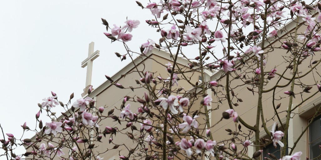 Wishing a day of peace to our Seattle University community members celebrating Easter and the spirit of renewal.