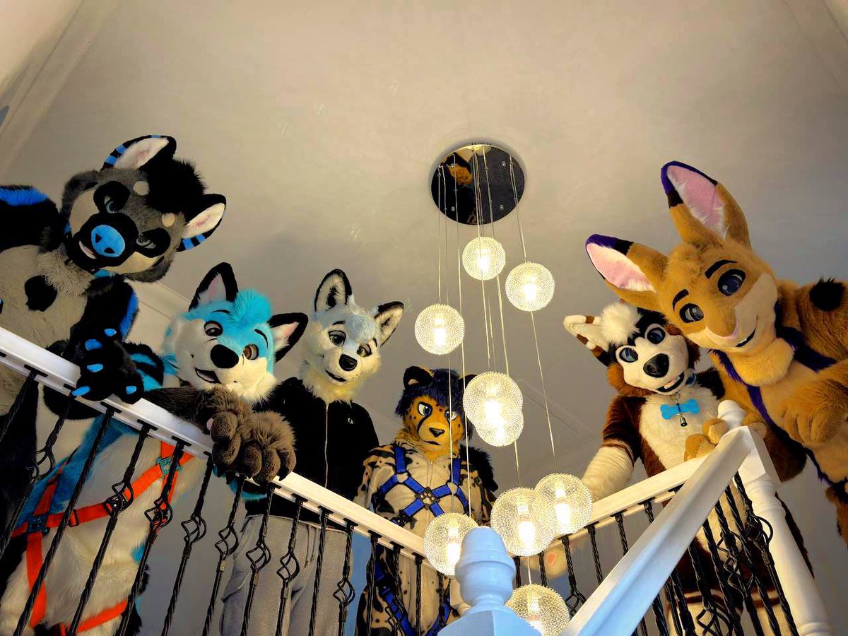 Delay Doggo (@delaydoggo) on Twitter photo Landing con !! Happy bunny day 😝😝
<a href="/bunzelbun/">Bunzel</a>
<a href="/ThePocketyFox/">Pockety Flops</a>
<a href="/Acey_AD/">Acey 🐾 🔜 CFz</a>
<a href="/LeoHoosk/">Leo!</a>
<a href="/BornyFox/">Borny</a>
📸<a href="/Giz_alicious/">Giz-alicious</a> Landing con !! Happy bunny day 😝😝
<a href="/bunzelbun/">Bunzel</a>
<a href="/ThePocketyFox/">Pockety Flops</a>
<a href="/Acey_AD/">Acey 🐾 🔜 CFz</a>
<a href="/LeoHoosk/">Leo!</a>
<a href="/BornyFox/">Borny</a>
📸<a href="/Giz_alicious/">Giz-alicious</a>