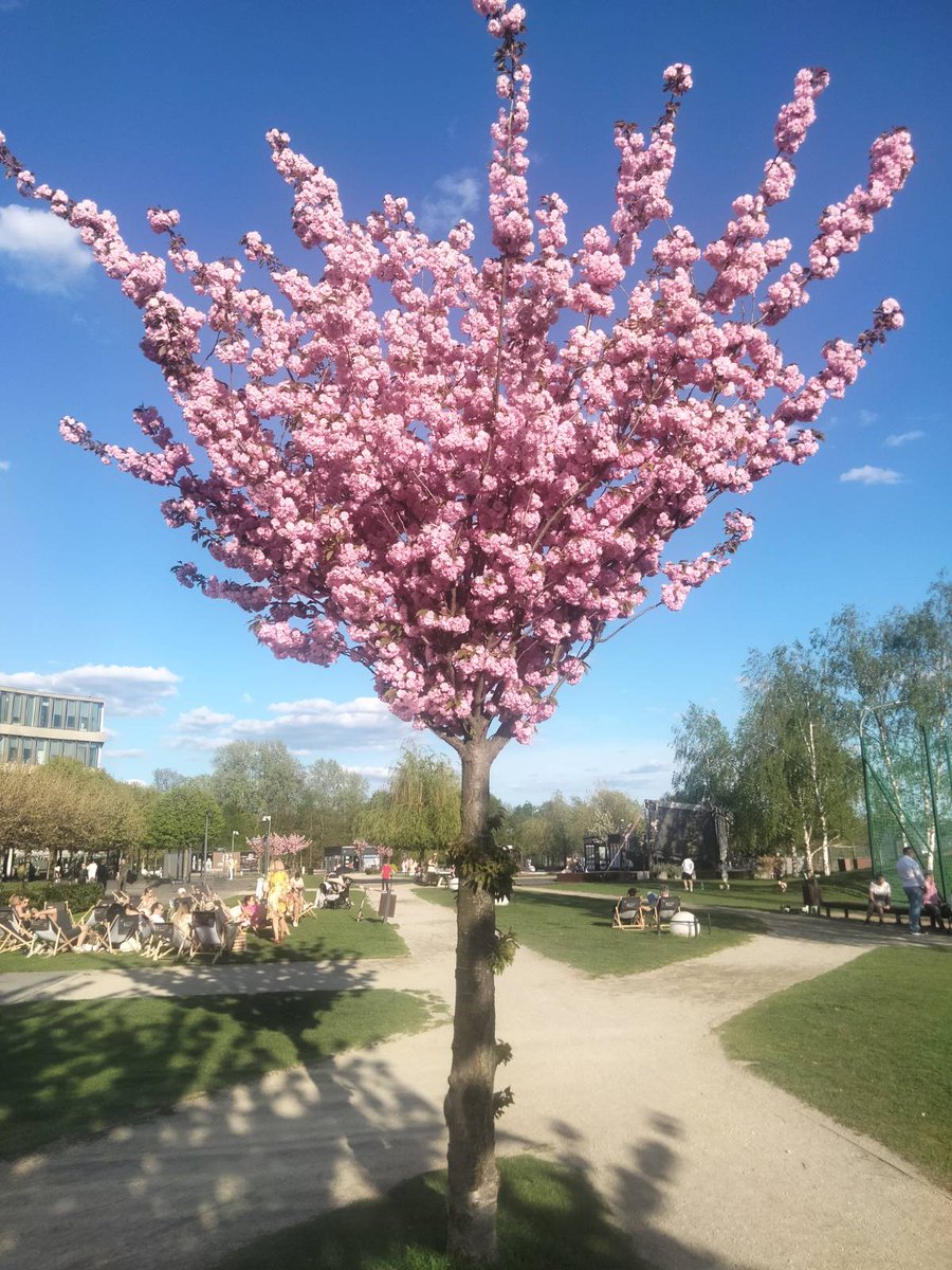 Takie miasto też lubimy 😀