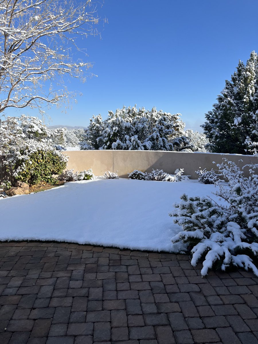 Just when I thought Spring had sprung.