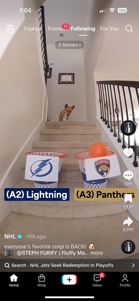 corgi can go fuck himself