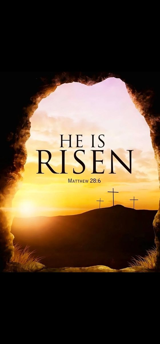 Eyes2See (@eyes2see247) on Twitter photo 