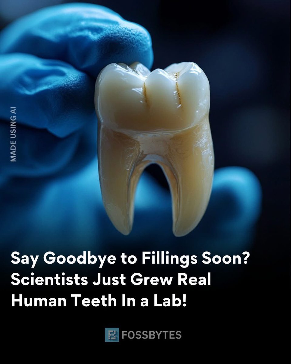 Scientists at King’s College London have successfully grown human teeth in a lab for the first time. Using a patient's cells, this breakthrough could replace dental fillings and implants with natural tooth regeneration.

The research, in collaboration with Imperial College