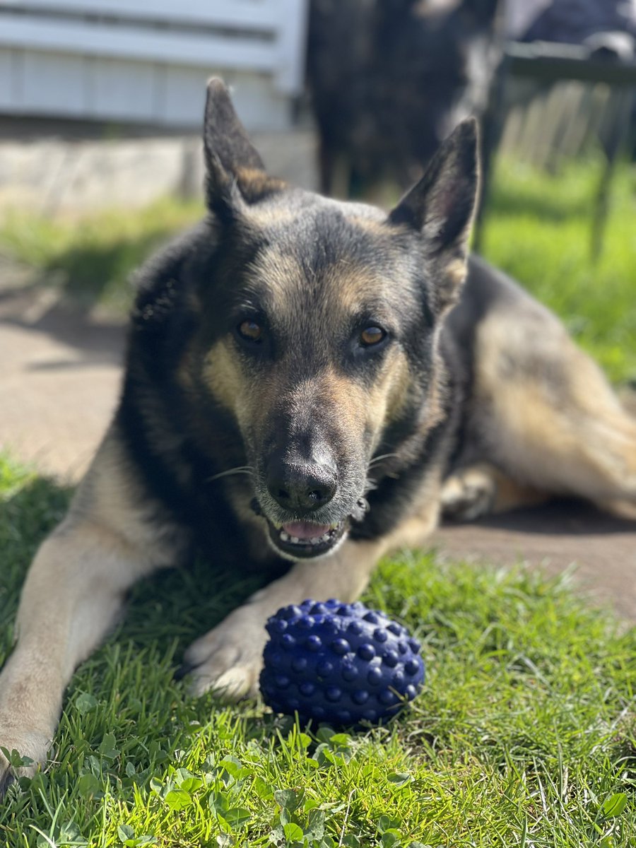 RPDQuest's tweet image. Wishing you all a very #HappyEaster ❤️