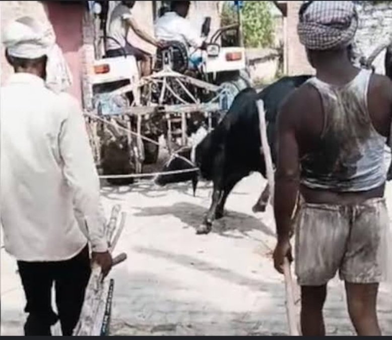 AnkaraS13's tweet photo. A bull was tied to a tractor and dragged to his death in Shahjahanpur, UP. This is the peak of brutality and inhumanity ! This poor soul needs justice ! @CMOfficeUP @Uppolice @Manekagandhibjp #AnimalCruelty #voiceforvoiceless #savecattle #Shahjahanpur @deespeak @iamjo https://t.co/vdMuHIuCRq