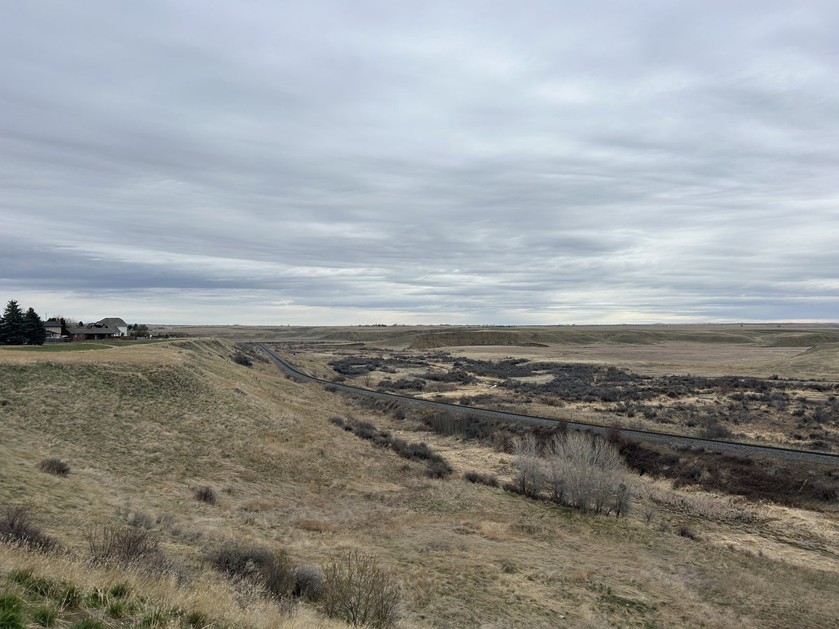 HatLawnBowler's tweet photo. Sunday morning. #easter2025 #sharethetrailmh #springinalberta #medhat #bluejays #rosscreek https://t.co/NeH91EN6qF