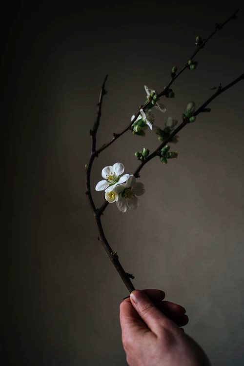 It is sometimes necessary to teach a thing its beauty again.