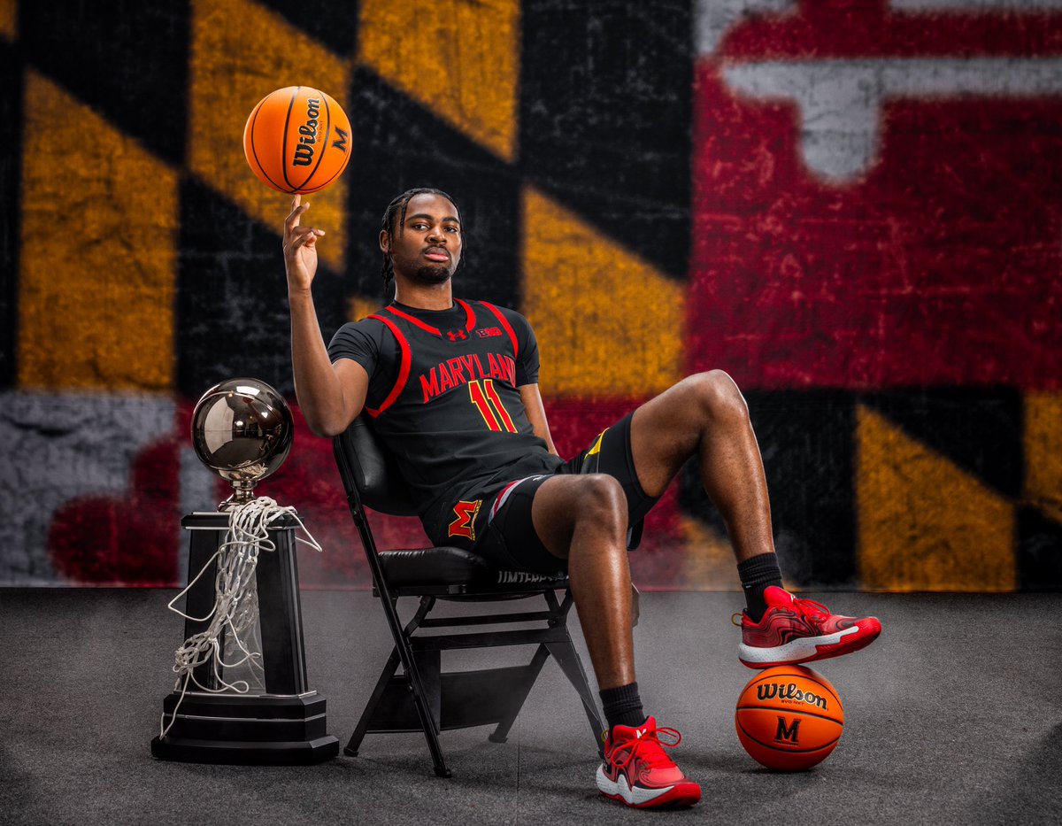 Sebastian Wilkins tweet media