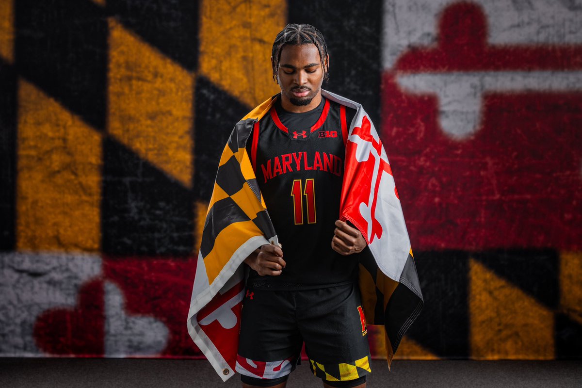 Sebastian Wilkins tweet media