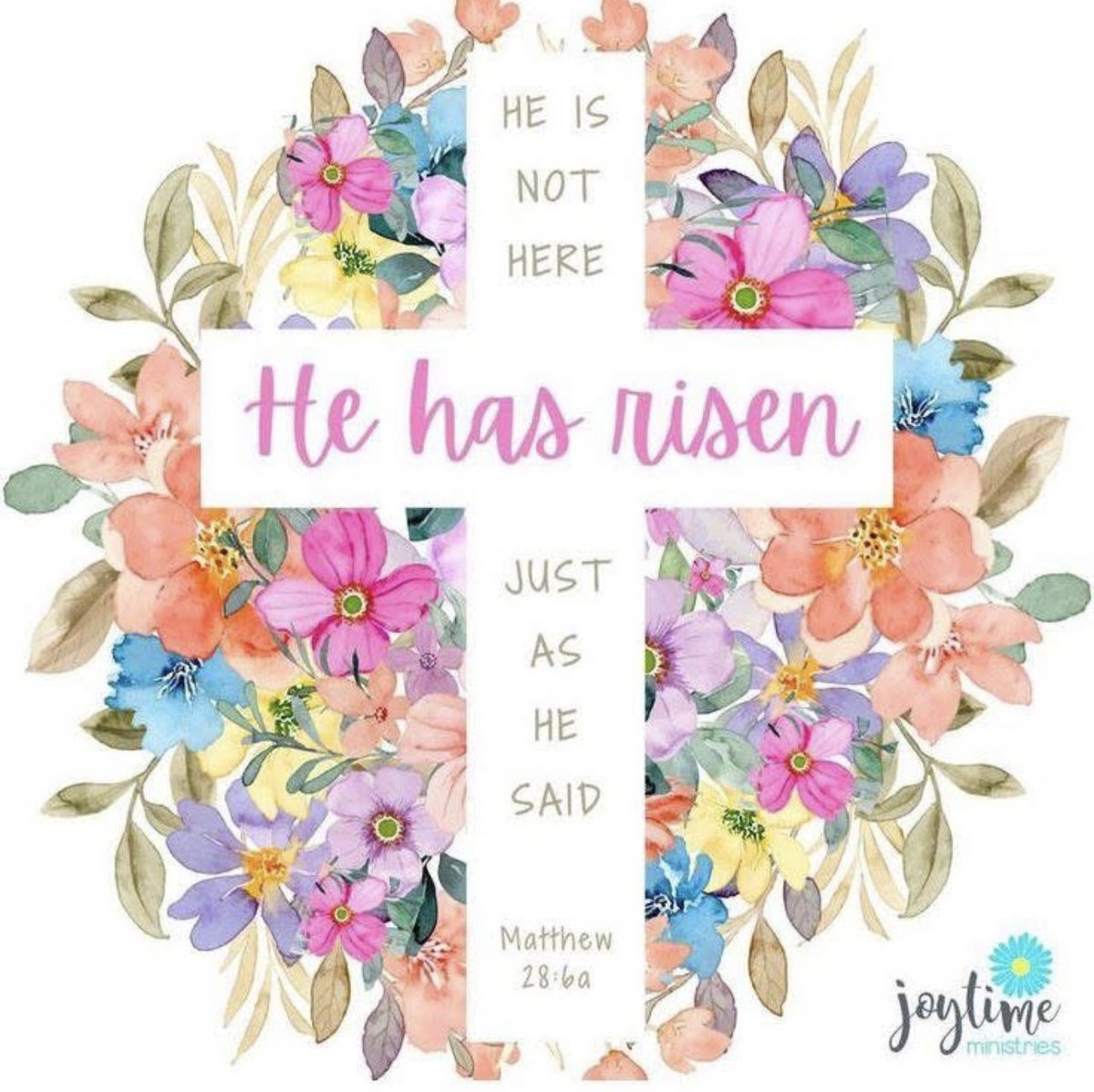 Raylee Crook tweet media