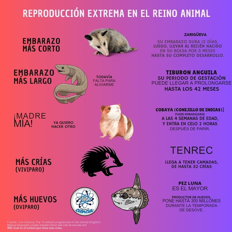 EnsedeCiencia's tweet photo. Muy extrema 😅 https://t.co/Ie0EchzwT7
