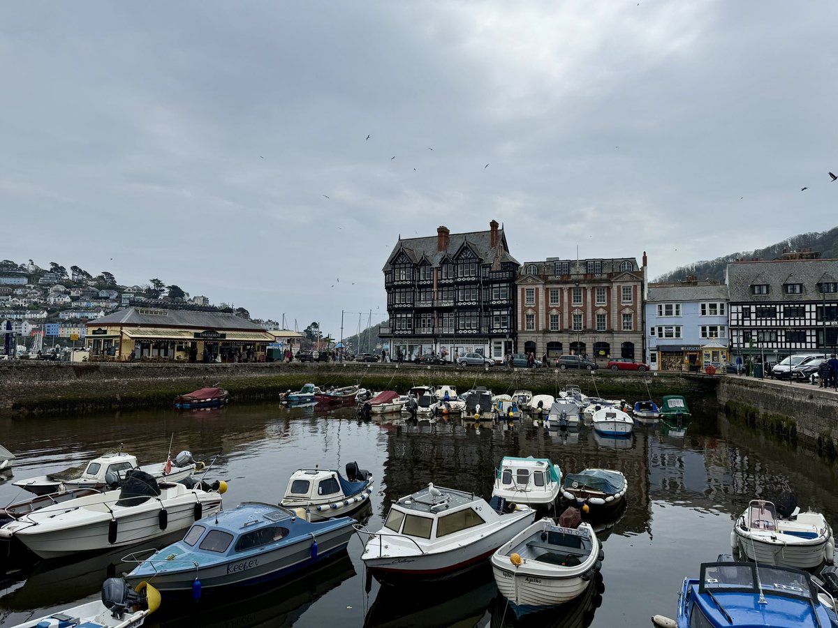 timolloyd's tweet image. Dartmouth is stunning