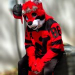 Photo by Zamboni Wolf 🐺 (@Wolfzel29)