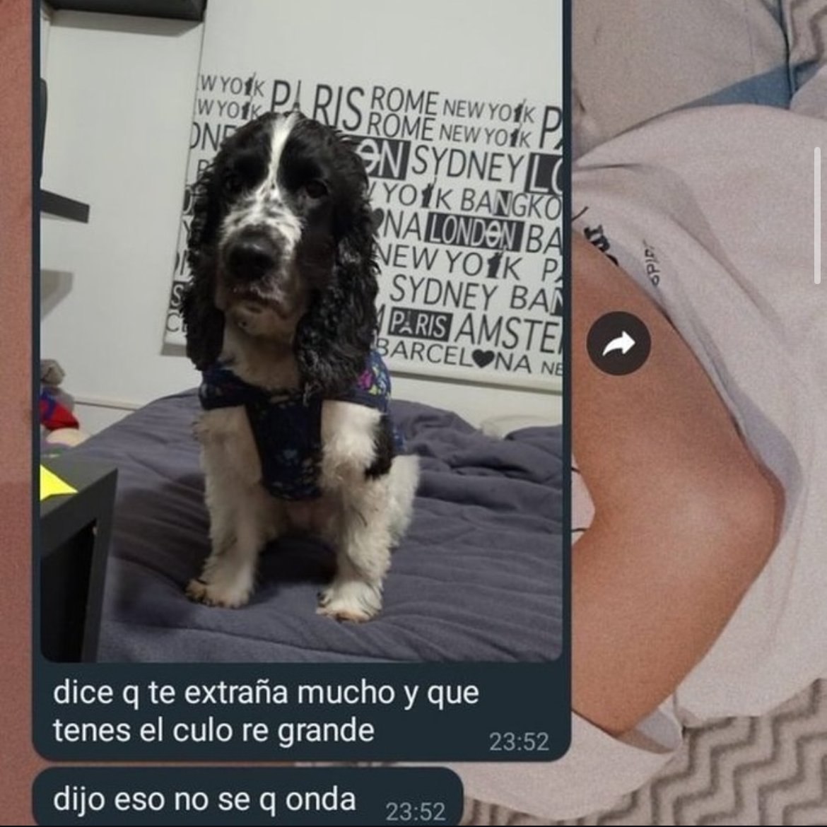 _onerolita's tweet photo. no se q onda https://t.co/YwNilb4OJ7