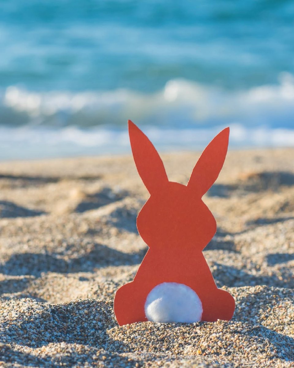 See Monterey tweet media