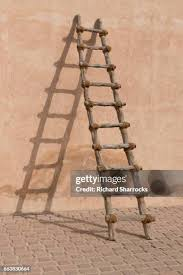 154Pledge's tweet photo. What colour will you paint a ladder? https://t.co/DMBWX8YwRa