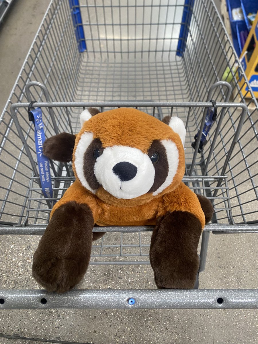 Dagwoodious's tweet image. Shopping with #XOGE  
💪🏻😎

@ClassyXoge