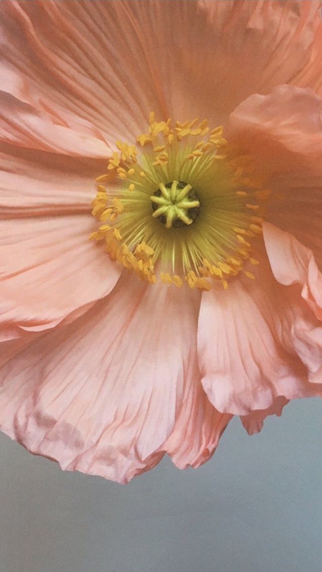 Happy Easter, Loves! Wishing you all a beautiful day of rest, feast and good food.