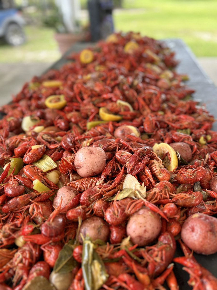 michelle marie tweet media