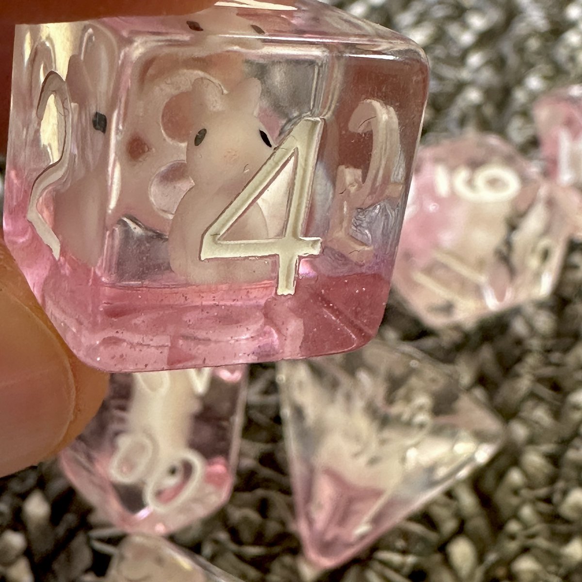 Happy Easter … from my wife 🎲🐇