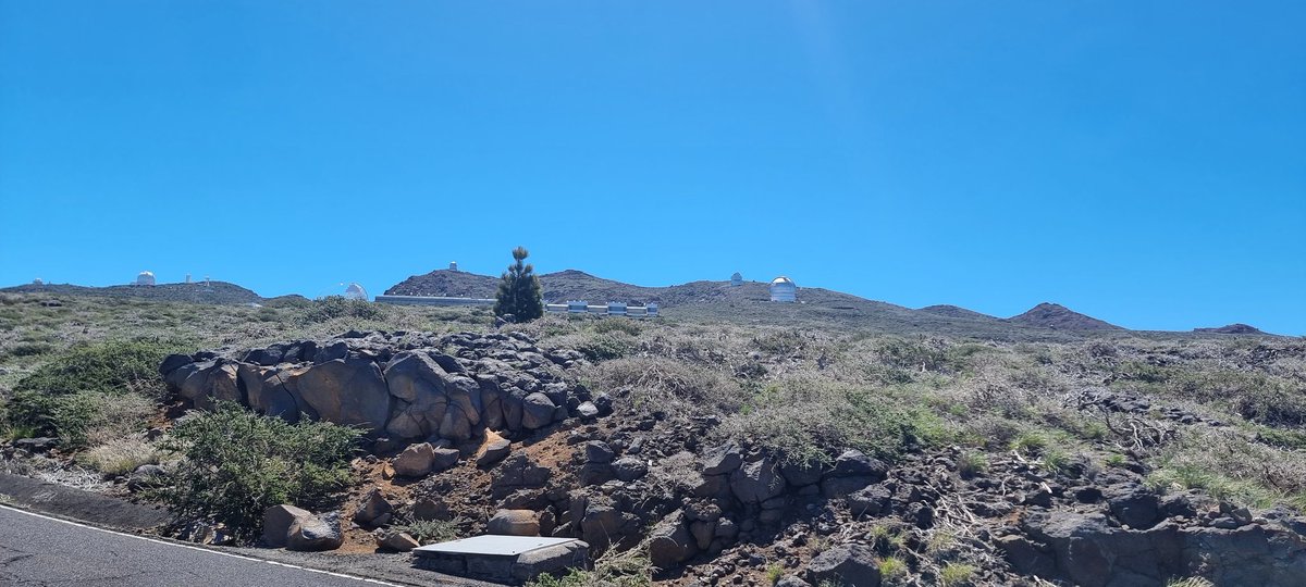 VidarCoc's tweet photo. #Observatories #ORM #Observatorien #Sternwarten #Astronomie #Astronomy #Sterne
Grobe Infos zu den Sternenwarten gibt es hier:
https://t.co/BZP9WZ95sm https://t.co/VEx6FWRPAz
