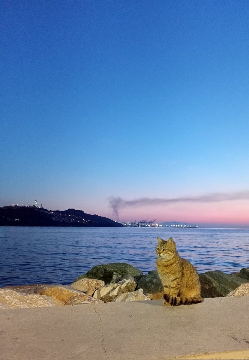 Sahile koşuyorlar bak deniz sarhoşları! ..