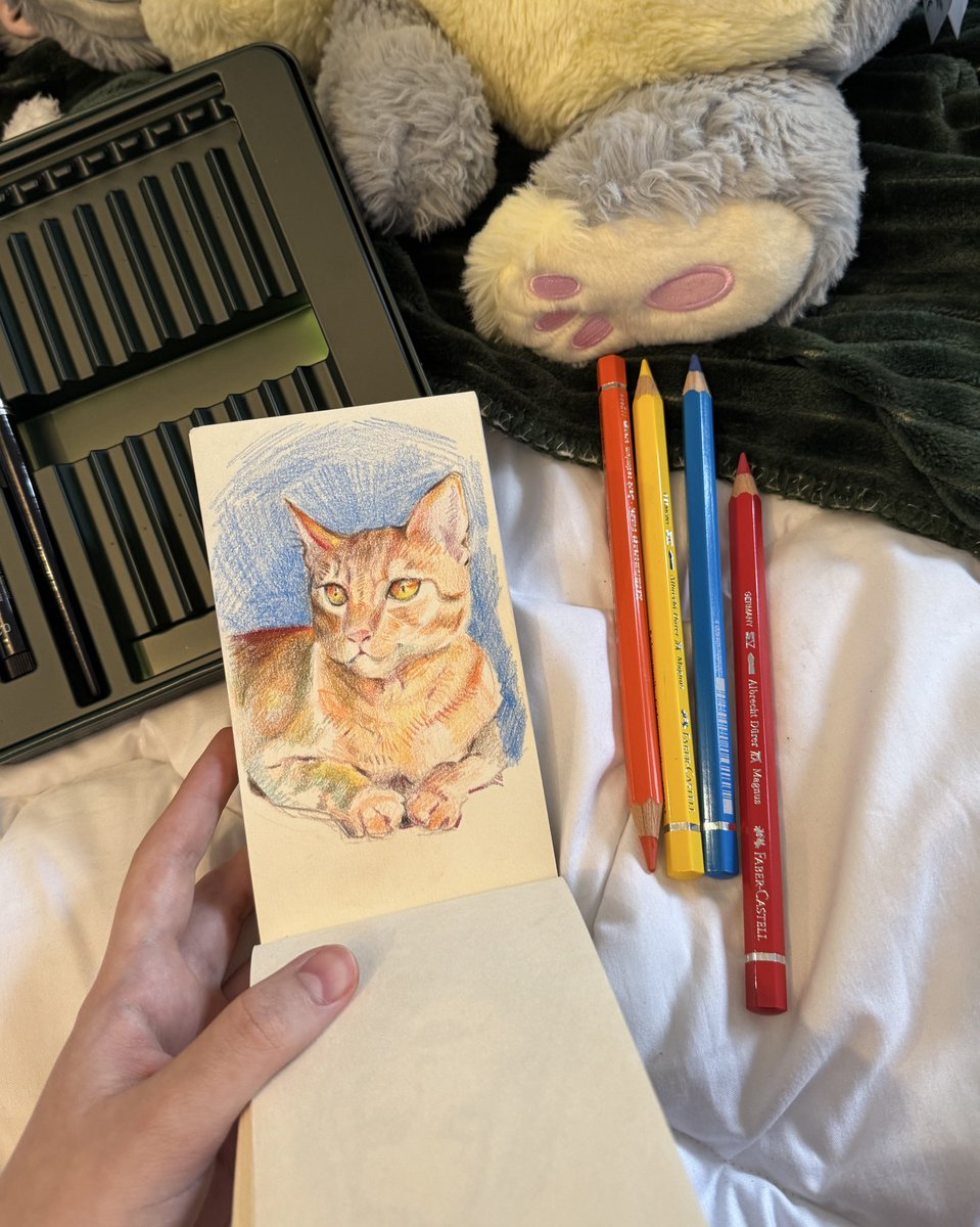 just having fun with some colored pencils 🙃