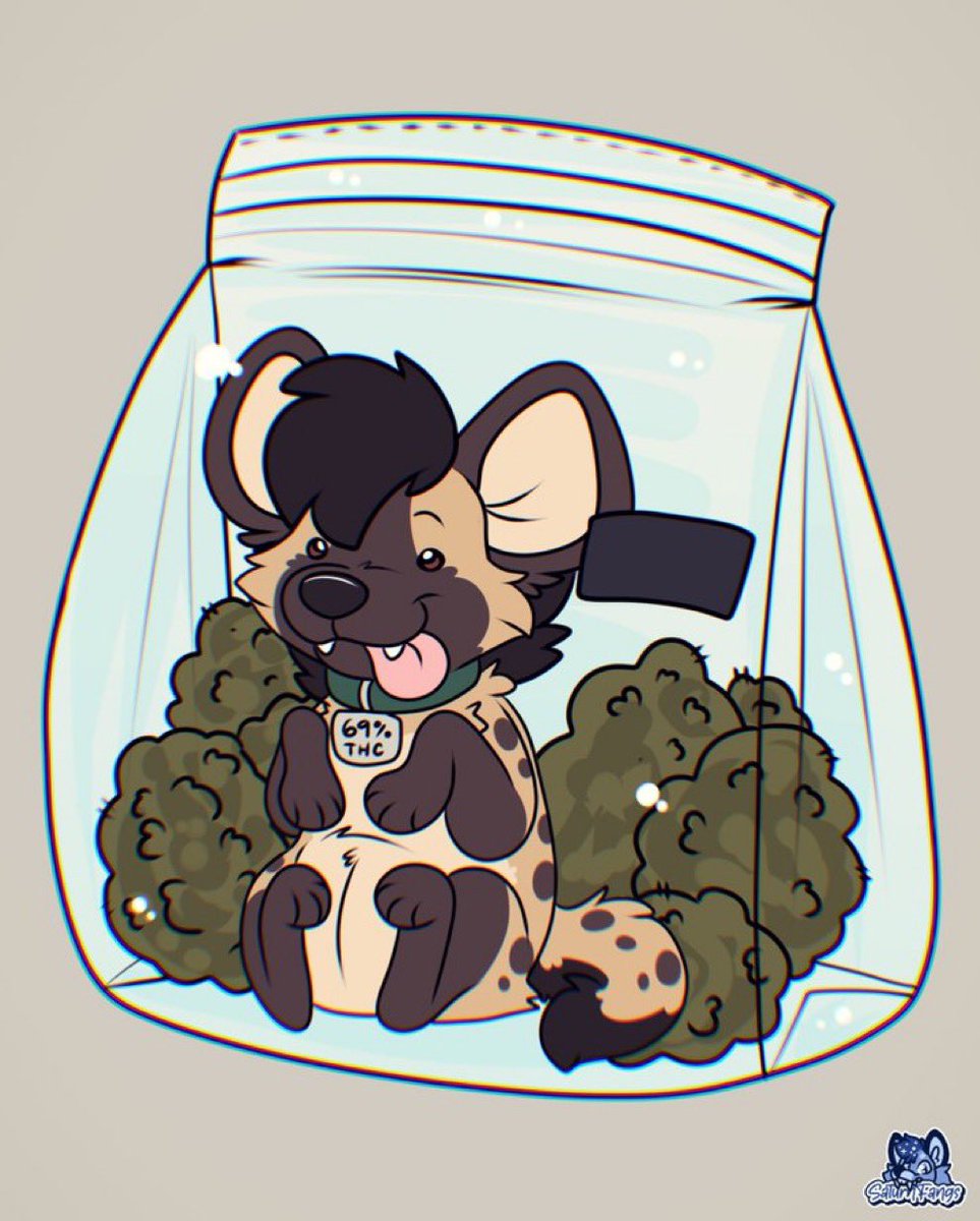Happy4/20!
I love bunnies and cannabis &gt;w&lt;