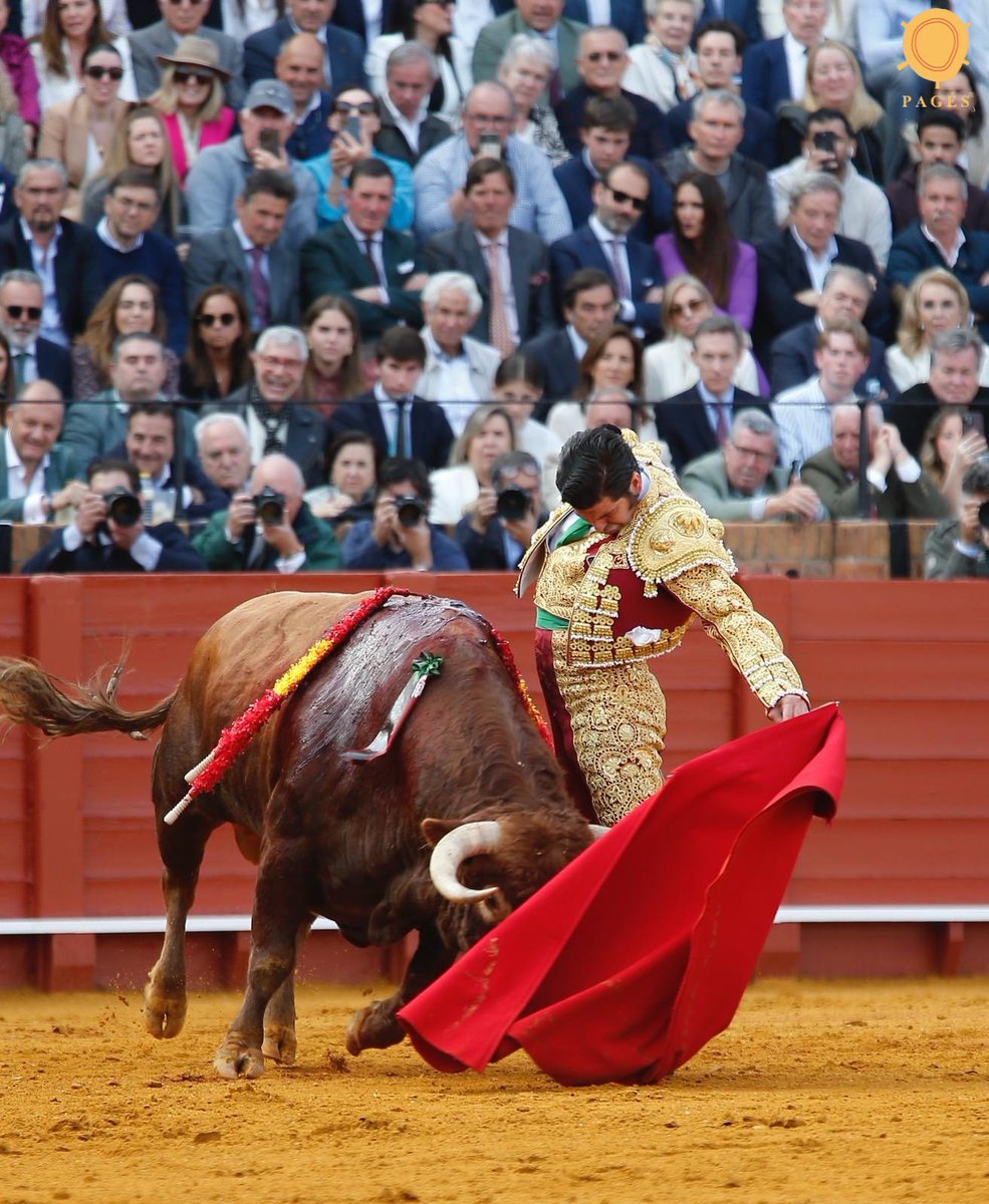 Tercio de Quites tweet media